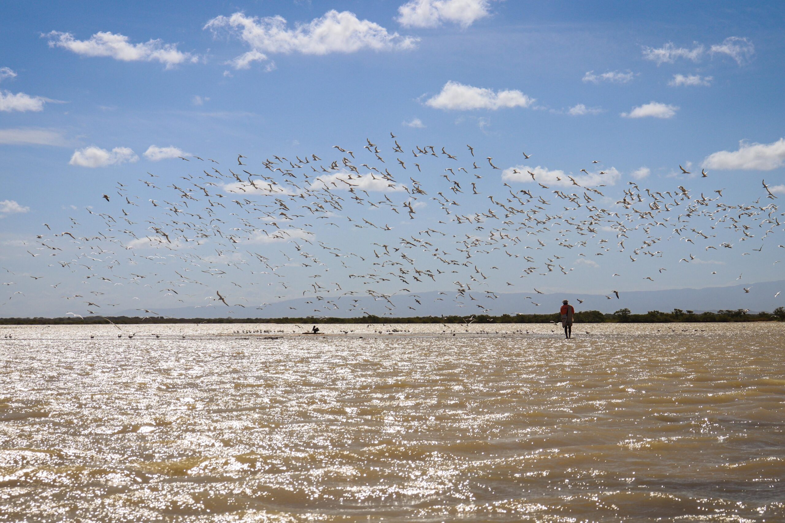 La Guajira gana primer lugar en convocatoria nacional de astroturismo con el Santuario de Los Flamencos