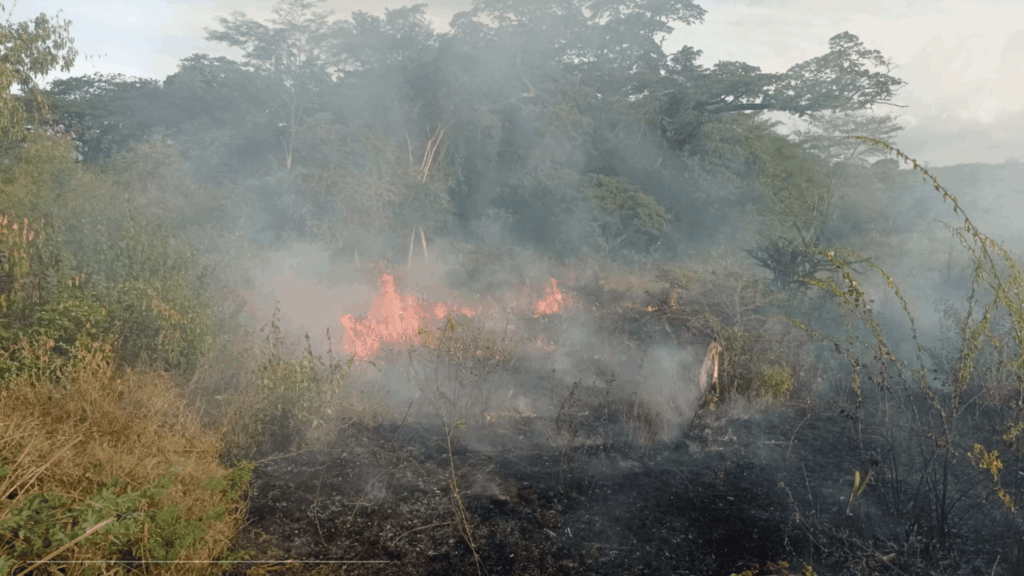 incendio forestal en Conejo
