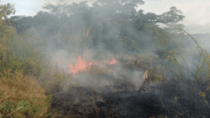 incendio forestal en Conejo