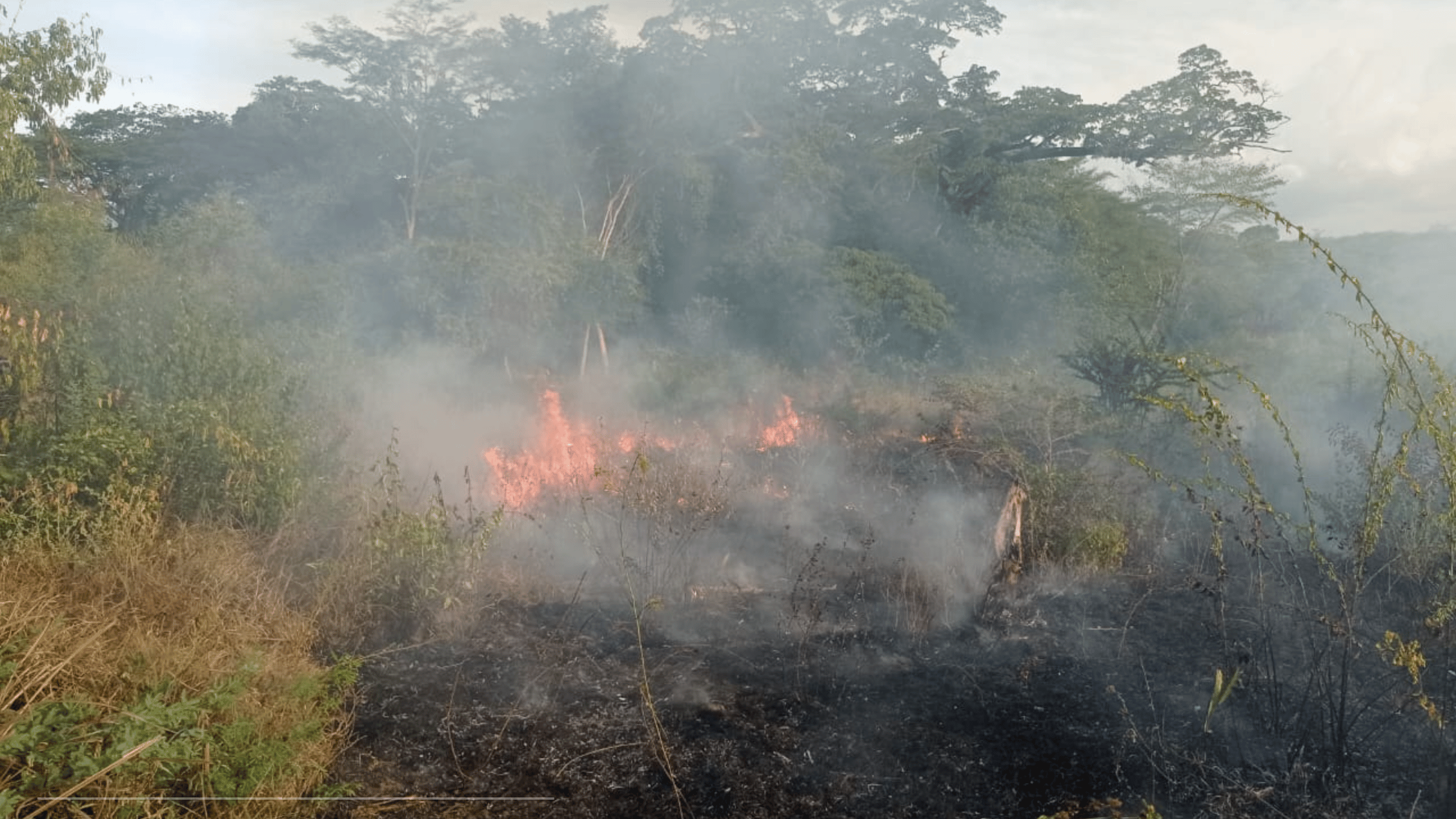 incendio forestal en Conejo