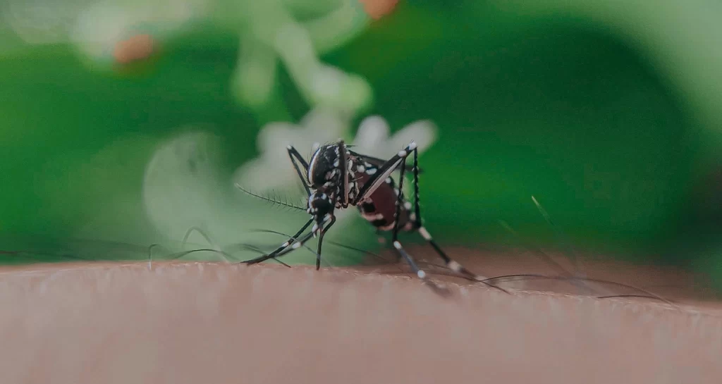 casos de dengue en La Guajira