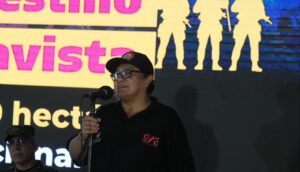 hallazgos fiscales en la SAE