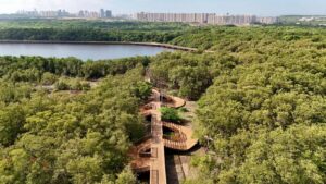Barranquilla ciudad sostenible LEED